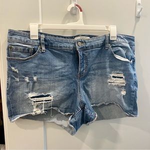 Torrid Distressed denim shorts plus size